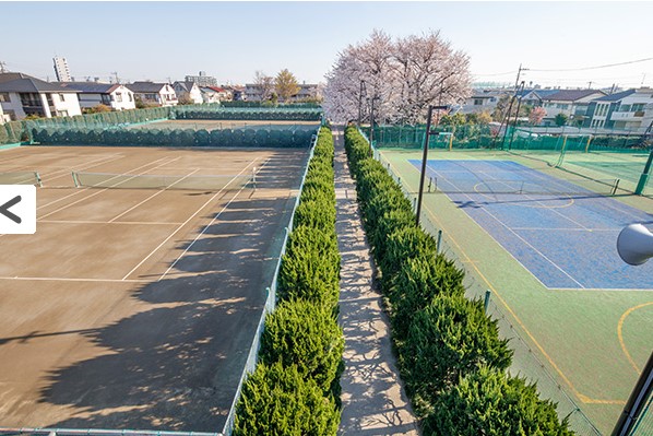 石神井公園 周辺フットサルコート 46件 善福寺公園フットサルコート フットサル Info